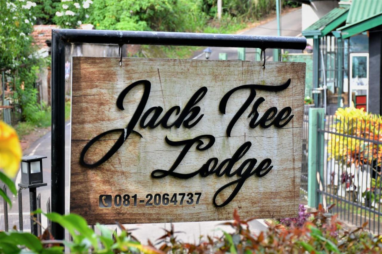 Jack Tree Lodge Kandy Extérieur photo