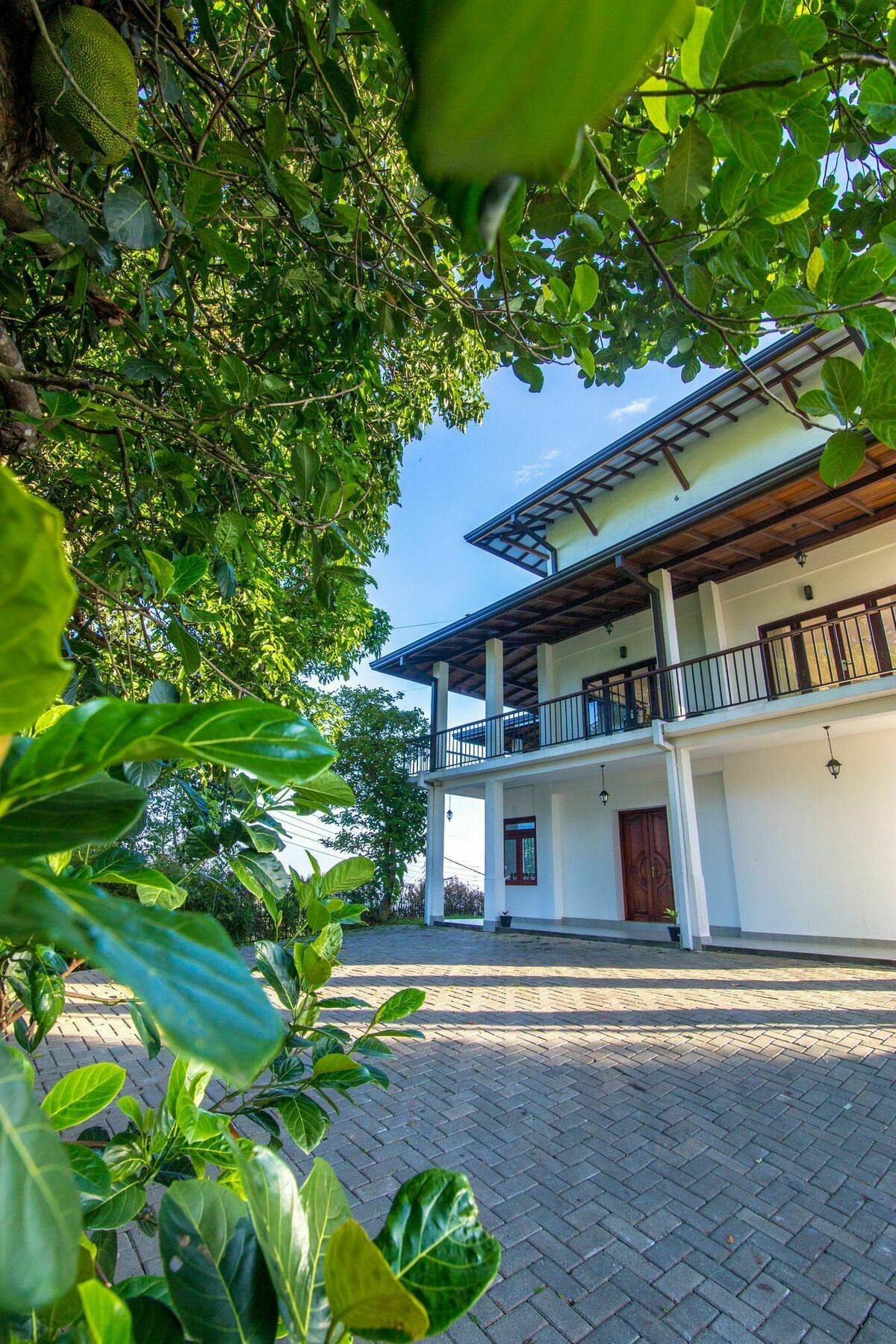 Jack Tree Lodge Kandy Extérieur photo